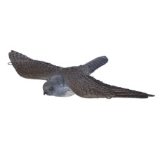 Franzbogen Flying Falcon